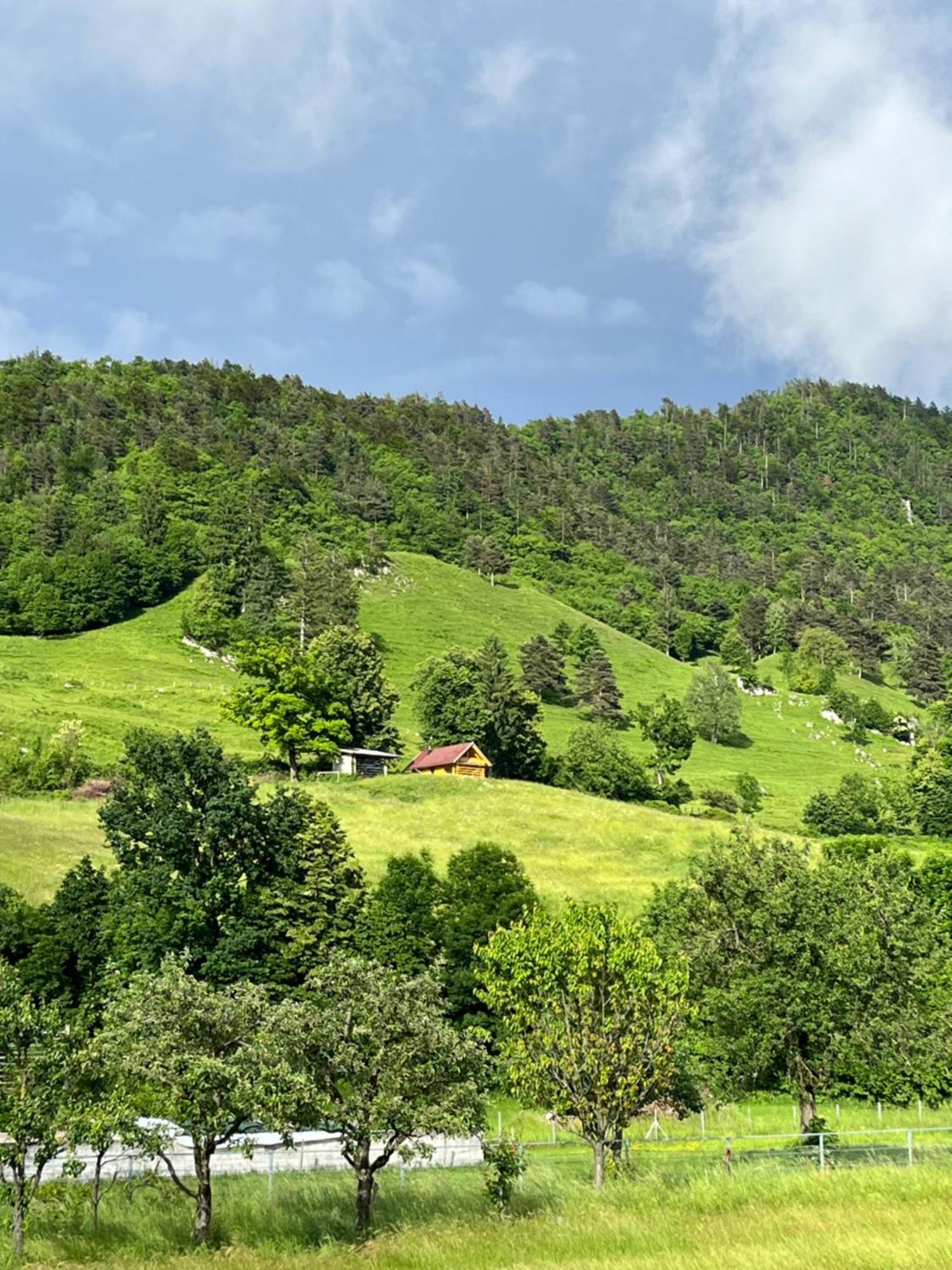 Cottage زيروفنيكا المظهر الخارجي الصورة