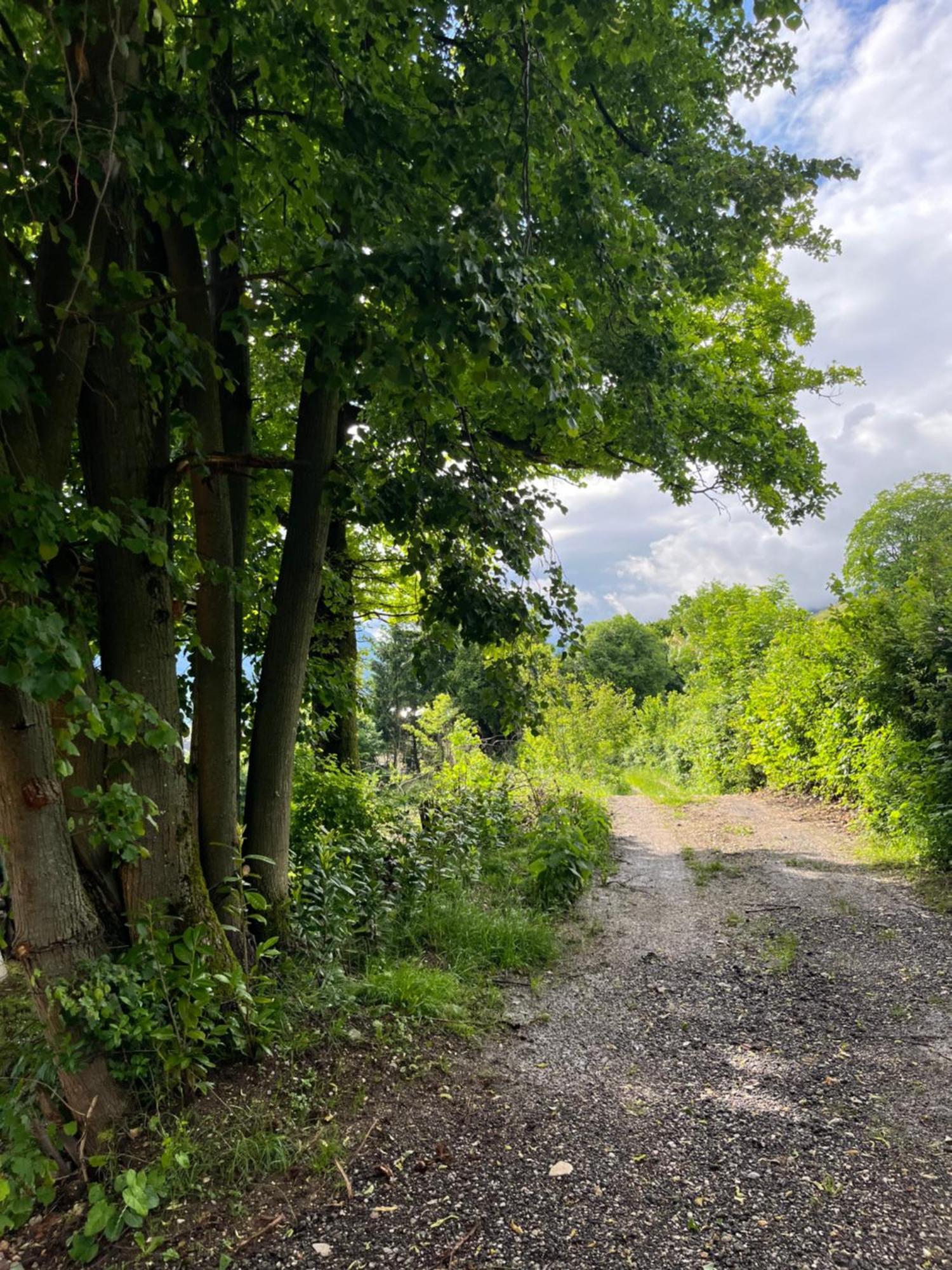 Cottage زيروفنيكا المظهر الخارجي الصورة