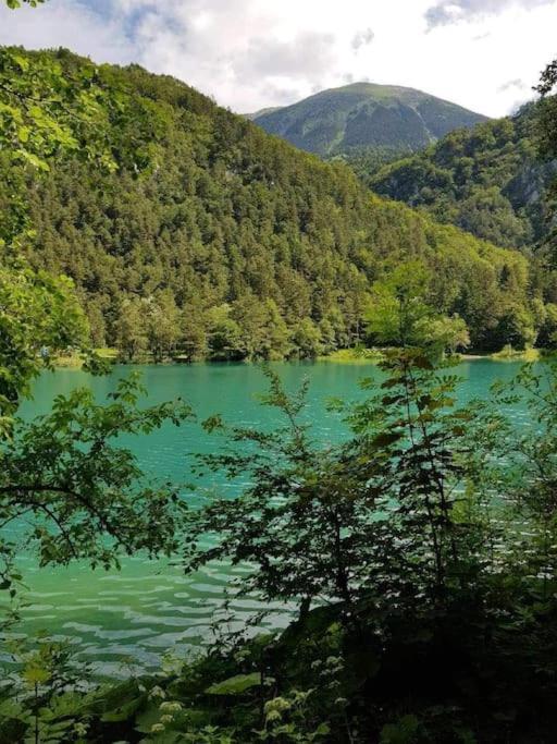 Cottage زيروفنيكا المظهر الخارجي الصورة