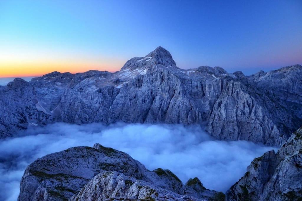 Cottage زيروفنيكا المظهر الخارجي الصورة