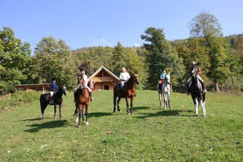 Cottage زيروفنيكا المظهر الخارجي الصورة